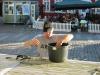 img_5623_t1.jpg